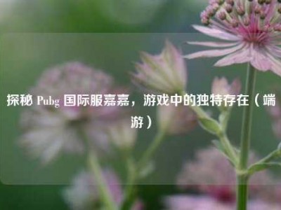 探秘 Pubg 国际服嘉嘉，游戏中的独特存在（端游）
