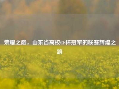 荣耀之巅，山东省高校CF杯冠军的联赛辉煌之路