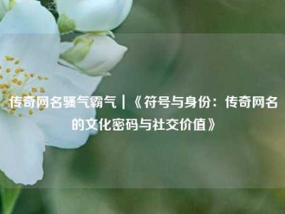 传奇网名骚气霸气｜《符号与身份：传奇网名的文化密码与社交价值》