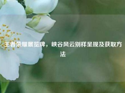 王者荣耀展览牌，峡谷风云别样呈现及获取方法