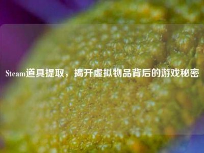 Steam道具提取，揭开虚拟物品背后的游戏秘密