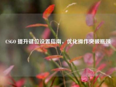 CSGO 提升键位设置指南，优化操作突破瓶颈