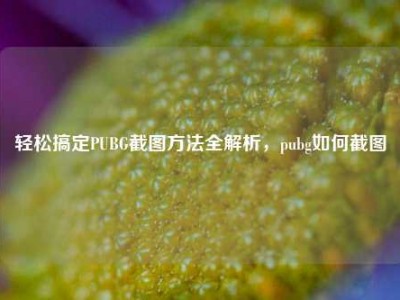 轻松搞定PUBG截图方法全解析，pubg如何截图