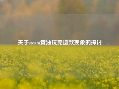 关于steam黄油玩完退款现象的探讨
