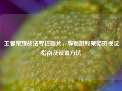 王者荣耀战法专栏图片，解锁游戏策略的视觉指南及设置方法