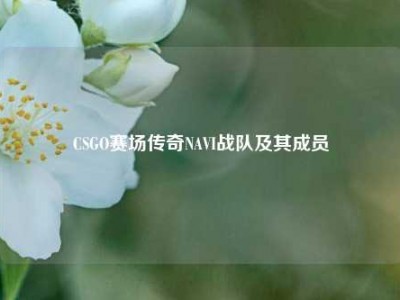 CSGO赛场传奇NAVI战队及其成员