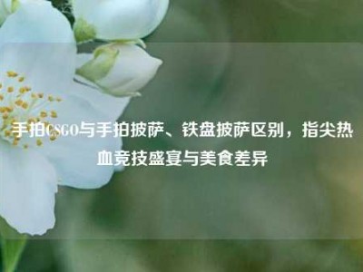 手拍CSGO与手拍披萨、铁盘披萨区别，指尖热血竞技盛宴与美食差异