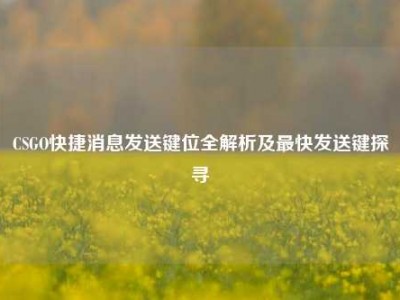CSGO快捷消息发送键位全解析及最快发送键探寻