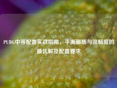 PUBG中等配置实战指南，平衡画质与流畅度的最优解及配置要求