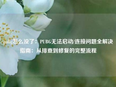 pubg怎么没了：PUBG无法启动/连接问题全解决指南：从排查到修复的完整流程
