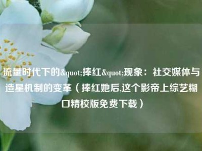 流量时代下的"捧红"现象：社交媒体与造星机制的变革（捧红她后,这个影帝上综艺糊口精校版免费下载）
