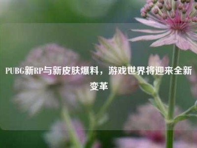 PUBG新RP与新皮肤爆料，游戏世界将迎来全新变革