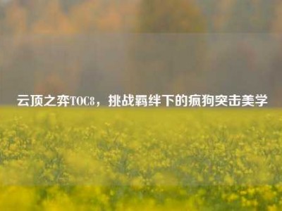 云顶之弈TOC8，挑战羁绊下的疯狗突击美学