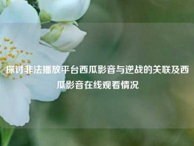 探讨非法播放平台西瓜影音与逆战的关联及西瓜影音在线观看情况