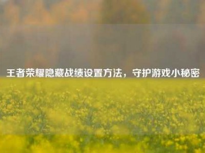 王者荣耀隐藏战绩设置方法，守护游戏小秘密