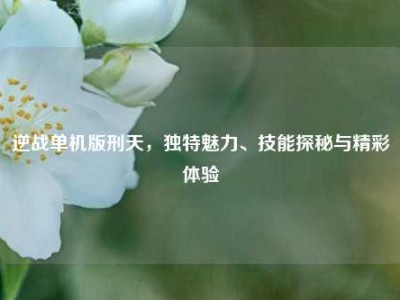逆战单机版刑天，独特魅力、技能探秘与精彩体验