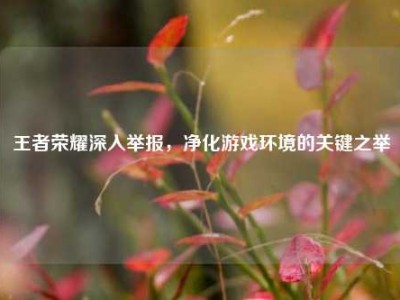 王者荣耀深入举报，净化游戏环境的关键之举