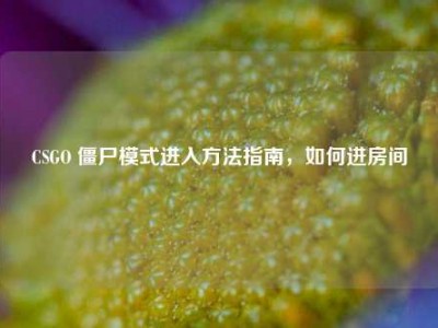 CSGO 僵尸模式进入方法指南，如何进房间
