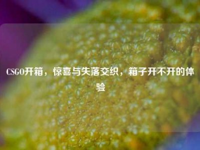 CSGO开箱，惊喜与失落交织，箱子开不开的体验