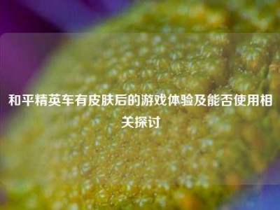 和平精英车有皮肤后的游戏体验及能否使用相关探讨