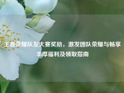 王者荣耀队友大赛奖励，激发团队荣耀与畅享丰厚福利及领取指南