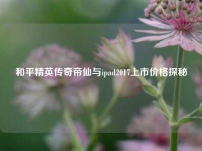 和平精英传奇帝仙与ipad2017上市价格探秘