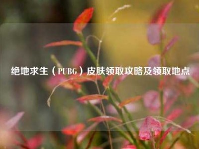 绝地求生（PUBG）皮肤领取攻略及领取地点
