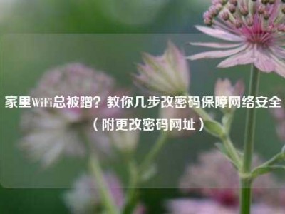 家里WiFi总被蹭？教你几步改密码保障网络安全（附更改密码网址）
