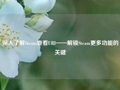 深入了解Steam查看URI——解锁Steam更多功能的关键