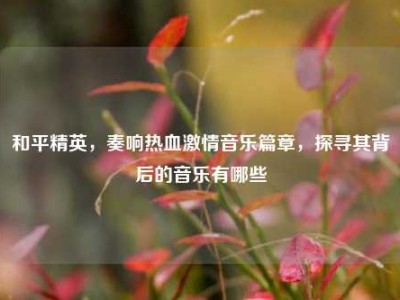 和平精英，奏响热血激情音乐篇章，探寻其背后的音乐有哪些