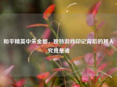 和平精英中朱金都，独特游戏印记背后的其人究竟是谁