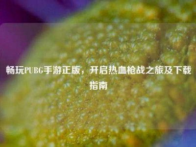 畅玩PUBG手游正版，开启热血枪战之旅及下载指南