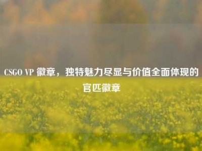 CSGO VP 徽章，独特魅力尽显与价值全面体现的官匹徽章