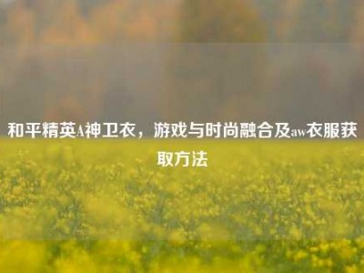 和平精英A神卫衣，游戏与时尚融合及aw衣服获取方法