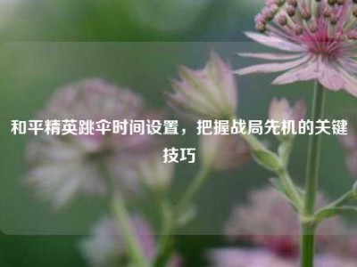 和平精英跳伞时间设置，把握战局先机的关键技巧
