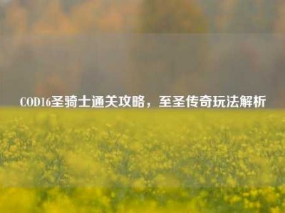 COD16圣骑士通关攻略，至圣传奇玩法解析