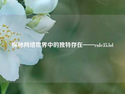 探秘网络世界中的独特存在——rule35.lol
