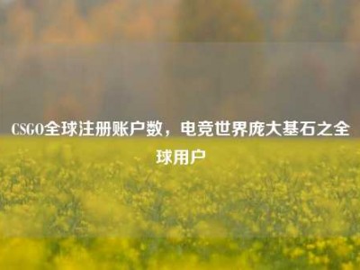 CSGO全球注册账户数，电竞世界庞大基石之全球用户