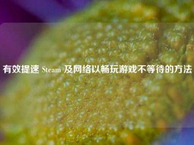 有效提速 Steam 及网络以畅玩游戏不等待的方法
