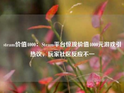 steam价值4000：Steam平台惊现价值4000元游戏引热议，玩家社区反应不一