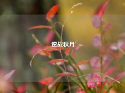 逆战秋月