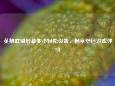 英雄联盟屏幕变小轻松设置，畅享舒适游戏体验