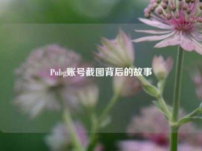 Pubg账号截图背后的故事