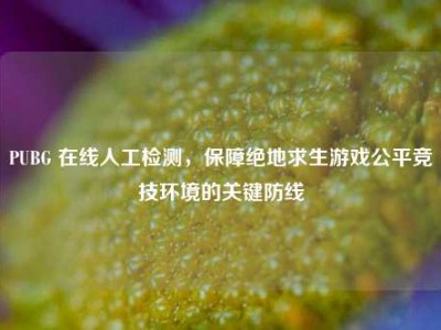 PUBG 在线人工检测，保障绝地求生游戏公平竞技环境的关键防线