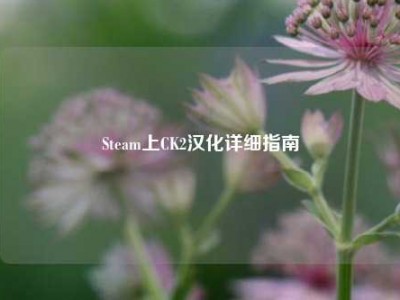 Steam上CK2汉化详细指南