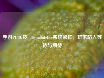 手游PUBG及pubgmobilelite系统繁忙，玩家陷入等待与期待