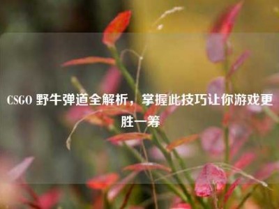 CSGO 野牛弹道全解析，掌握此技巧让你游戏更胜一筹