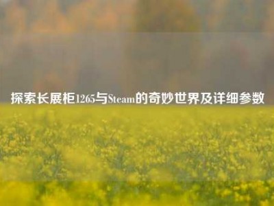 探索长展柜1265与Steam的奇妙世界及详细参数
