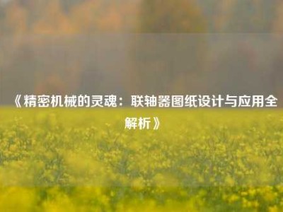 《精密机械的灵魂：联轴器图纸设计与应用全解析》