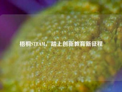梧桐STEAM，踏上创新教育新征程